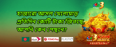 দৈনিক স্লট ফ্রি স্পিন promotion banner